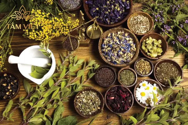 Hướng dẫn thưởng thức trà thảo mộc đúng chuẩn, đúng cung cách, trọn vẹ –  Tâm Việt - Quà tặng sức khỏe