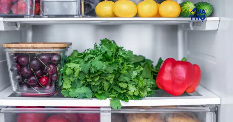 Mẹo sử dụng tủ lạnh tiết kiệm điện và bền máy.