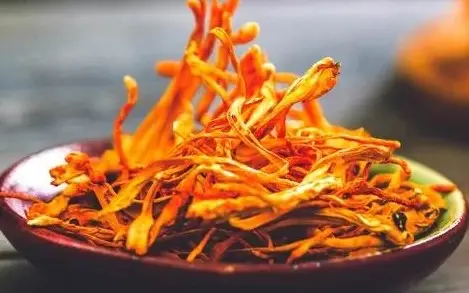 Người huyết áp cao có dùng được đông trùng hạ thảo không? Người huyết áp cao có dùng được đông trùng hạ thảo không?