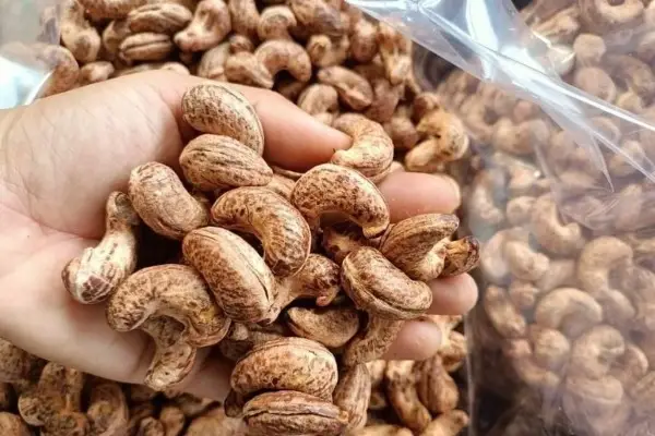 Những điều cần lưu ý khi mua hạt điều giá rẻ | Đặc sản Tây Nguyên