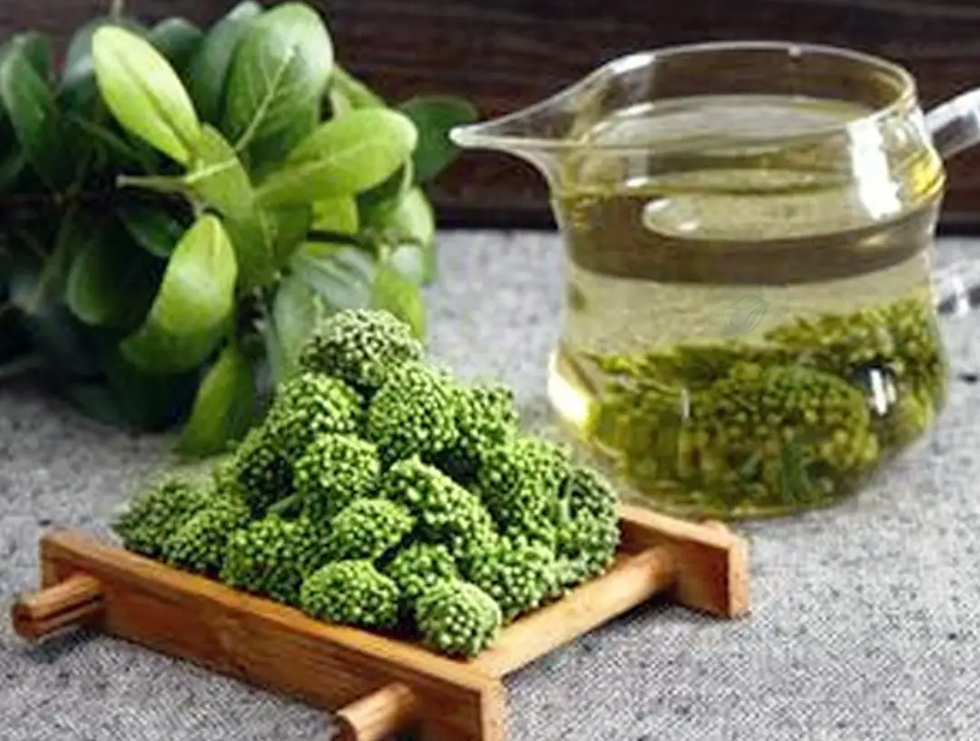 Người mất ngủ có nên uống hoa tam thất? Người mất ngủ có nên uống hoa tam thất?