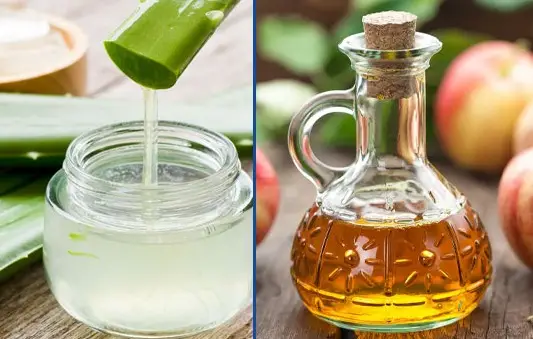 Nha Đam Mật Ong: Sự Kết Hợp Tuyệt Vời Của Thiên Nhiên Nha Đam Mật Ong: Sự Kết Hợp Tuyệt Vời Của Thiên Nhiên