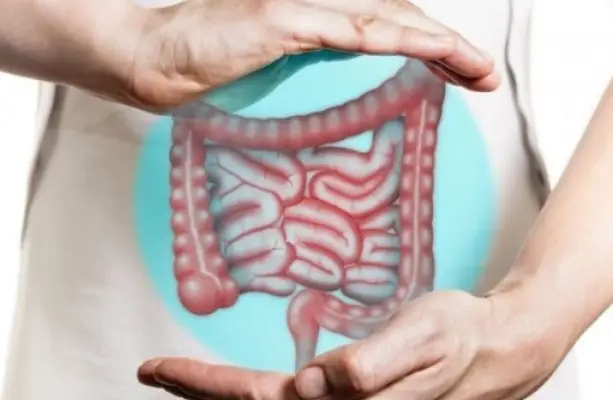 Nhóm người không nên ăn bắp cải Nhóm người không nên ăn bắp cải