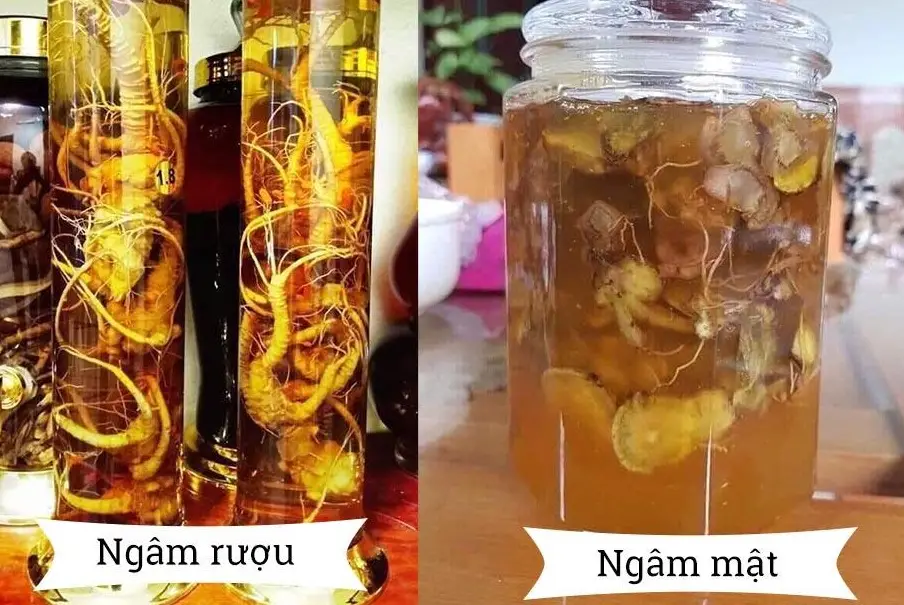 Những trường hợp nào không nên uống tam thất mật ong?