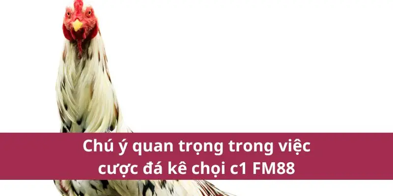 Đá Gà C1 – Quy Tắc, Kỹ Thuật Chơi Và Bí Quyết Thắng Lớn 2025 3 png 690b1fb74de36