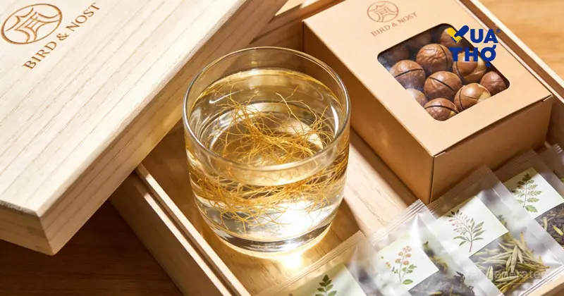 Xu hướng qu&agrave; tặng sức khỏe cho doanh nghiệp năm 2026.