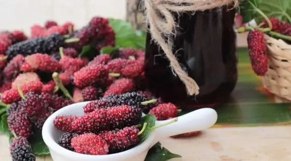 Rượu dâu tằm có lợi ích gì? Rượu dâu tằm có lợi ích gì?