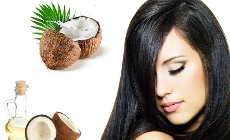 Sử dụng dầu dừa dưỡng tóc - Khám Phá Các Lợi Ích Thú Vị và Cách Thực Hiện Hiệu Quả Sử dụng dầu dừa dưỡng tóc - Khám Phá Các Lợi Ích Thú Vị và Cách Thực Hiện Hiệu Quả