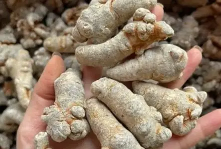 Cải thiện sinh lý nam Cải thiện sinh lý nam