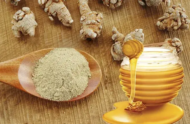 Bột tam thất có tác dụng gì Bột tam thất có tác dụng gì