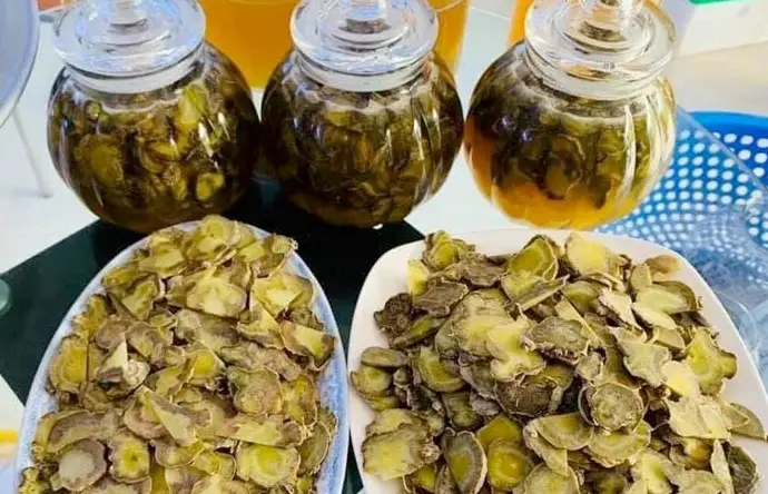 Tam thất tươi ngâm mật ong có lợi ích gì cho sức khỏe Tam thất tươi ngâm mật ong có lợi ích gì cho sức khỏe