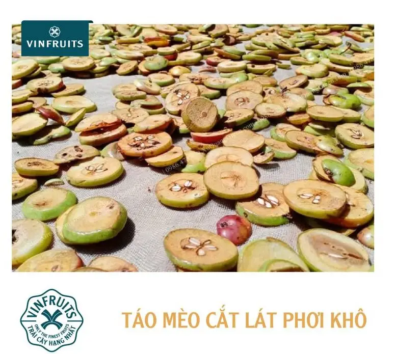 Táo mèo Tây Bắc – Vị thuốc quý từ núi rừng