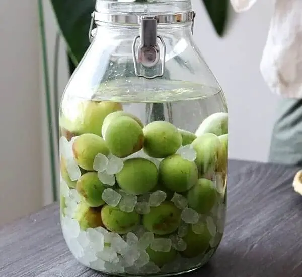 Top 2 cách ngâm rượu mơ đơn giản, thơm ngon cho mùa hè