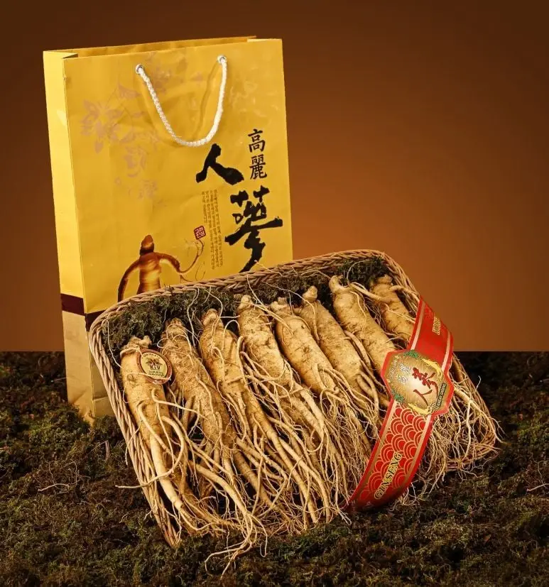 Trải nghiệm sức sống tràn đầy với sâm