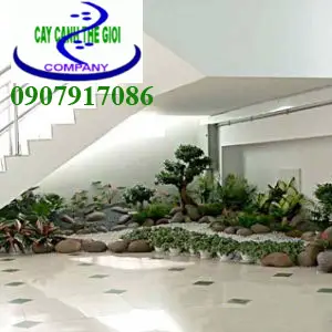 Trang trí tiểu cảnh gầm cầu thang – Biến không gian nhỏ trở nên sinh động và ấn tượng