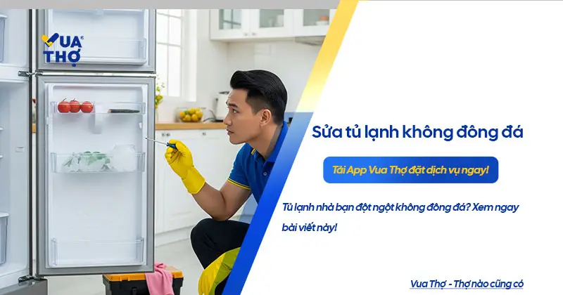 tu-lanh-khong-dong-da