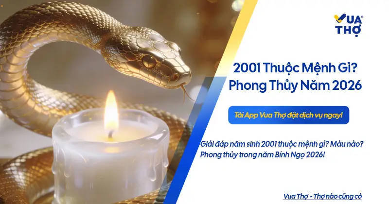 Sinh năm 2001 mệnh g&igrave;? Giải m&atilde; nạp &acirc;m Bạch Lạp Kim tuổi T&acirc;n Tỵ.