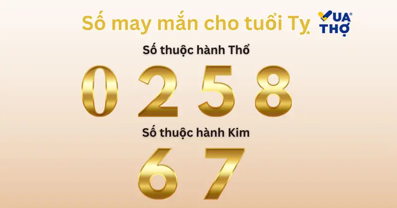 số may mắn cho người 2001 mệnh g&igrave;