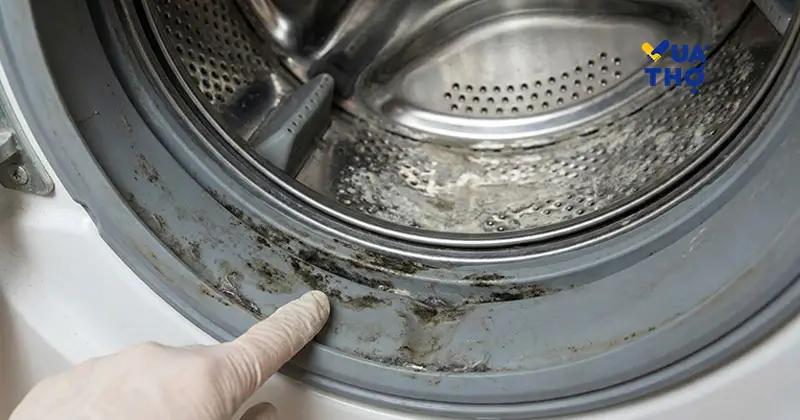 dau-hieu-can-ve-sinh-may-giat