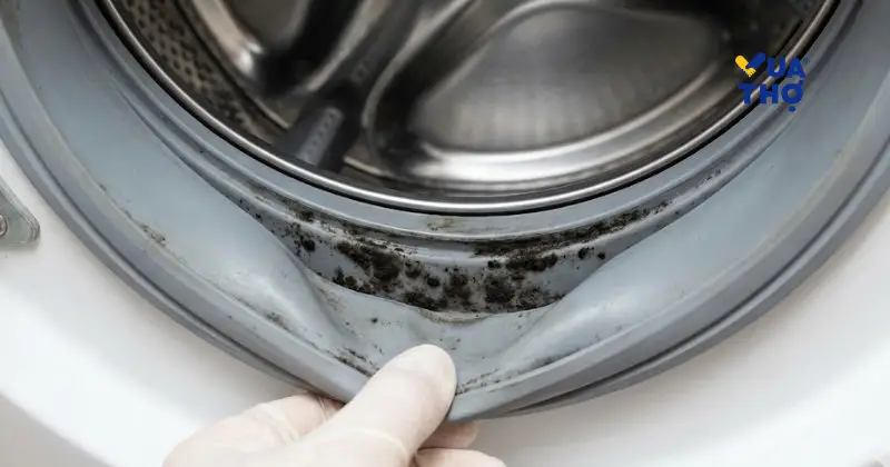 dau-hieu-can-ve-sinh-may-giat